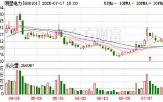 600101股票怎么样_600101资金流向分析