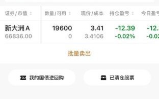 新大洲A股票怎么样_值得长期持有吗