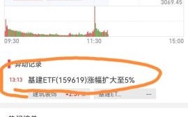 300198股票怎么样_300198股票未来走势