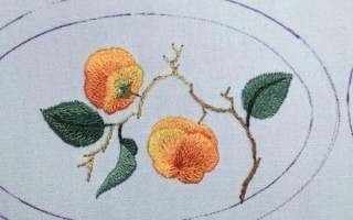 刺绣新手入门用什么绣线_刺绣图案怎么设计