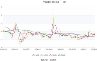中公高科股票值得长期持有吗_中公高科股票未来走势如何