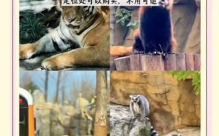 北京有几个动物园_北京动物园哪个最好玩