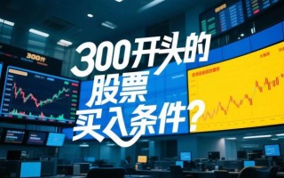 300440股票怎么样_值得长期投资吗