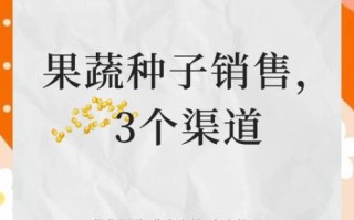 种子批发市场在哪里_如何挑选优质蔬菜种子