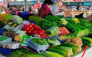 卖菜赚钱吗_新手卖菜从哪里进货