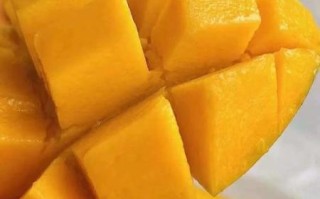 芒果网怎么样_芒果网旅游靠谱吗