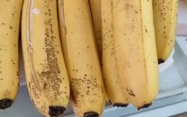 香蕉批发价格多少钱一斤_香蕉怎么保存才不会变黑