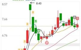 600232股票行情_金枫酒业还能买吗