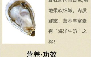 生蚝怎么挑选新鲜_生蚝批发价格多少钱一斤