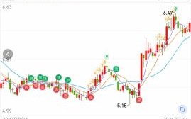 中国石化股票值得长期持有吗_中国石化股票分红率怎么样