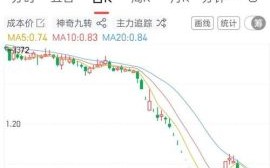 贵人鸟股票退市后还能交易吗_贵人鸟股票最新重组消息