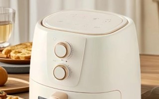 空气炸锅怎么样_空气炸锅好用吗