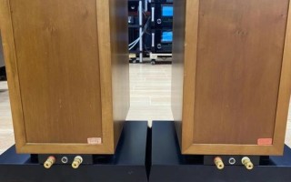 丹拿音箱怎么样_丹拿音箱值得买吗