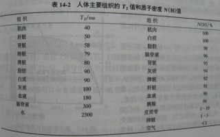 T2怎么样_T2值正常范围是多少