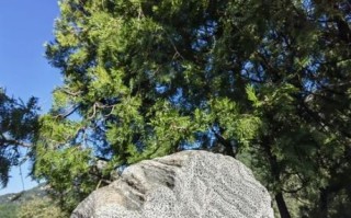 北京到泰山多少公里_北京到泰山自驾多久