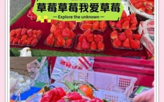 草莓价格为什么波动大_草莓批发哪里最便宜