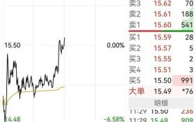 雅化集团股票还能买吗_雅化集团股价走势分析