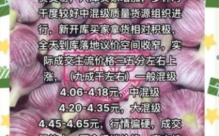 大蒜价格为什么上涨_如何挑选优质大蒜