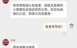 雅兰仕怎么样_雅兰仕耳机值得买吗