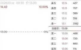 雪人股份股票行情_雪人股份值得买吗