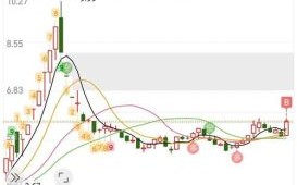 002793股票今日走势_002793未来能涨到多少