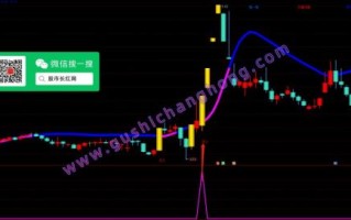 股票指标公式怎么写_股票指标公式有哪些