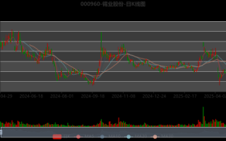 锡业股份股票值得买吗_锡业股份股票未来走势
