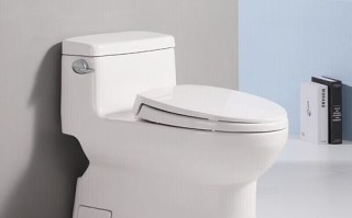 toto卫浴怎么样_toto马桶值得买吗