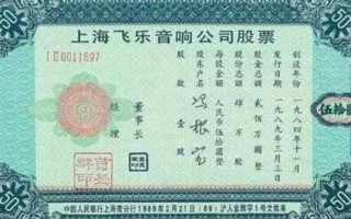 中国第一支股票是哪只_发行背景与历史意义