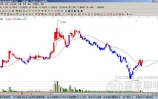 600199股票行情分析_未来走势如何