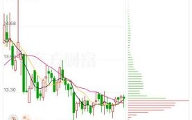 瑞贝卡股票还会涨吗_瑞贝卡股票值得长期持有吗