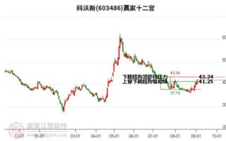 科沃斯股票值得长期持有吗_科沃斯股价走势分析