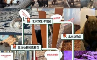 北京动物园新动物有哪些_北京动物园新动物在哪里看