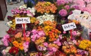 鲜切花批发渠道有哪些_鲜切花怎么保存时间更长