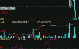 探路者股票值得买吗_探路者股票未来走势