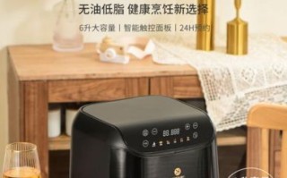 利仁空气炸锅怎么样_利仁空气炸锅值得买吗