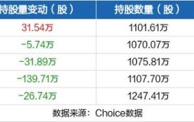 神州信息股票值得长期持有吗_神州信息股票未来走势如何