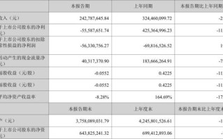华控赛格股票怎么样_华控赛格股票值得长期持有吗