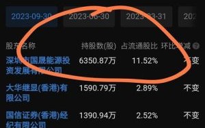 深中华股票值得买吗_深中华A股最新走势