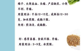 香菜吃多了会怎么样_香菜过量副作用