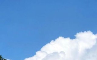 8P拍照怎么样_苹果8P拍照效果好吗