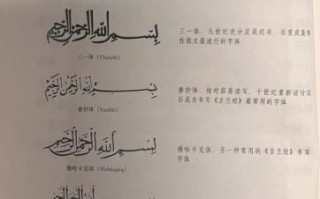 穆斯怎么样_穆斯到底好不好用