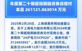 上海电力股票怎么样_值得长期持有吗