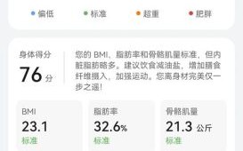 华为体脂秤怎么样_华为体脂秤准不准