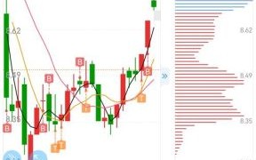 嘉化能源股票股吧_嘉化能源值得长期持有吗