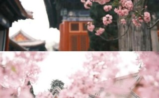 北京万寿寺门票价格_开放时间