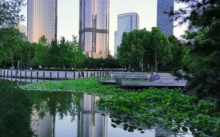 北京望京有什么好玩的_望京适合年轻人打卡的地方