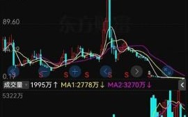 乐视股票还能买吗_乐视股票退市后怎么办