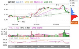 天健集团股票值得长期持有吗_天健集团股票未来走势如何