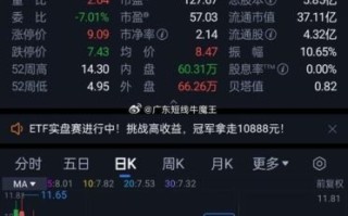 002584股票行情_002584西陇科学股价走势